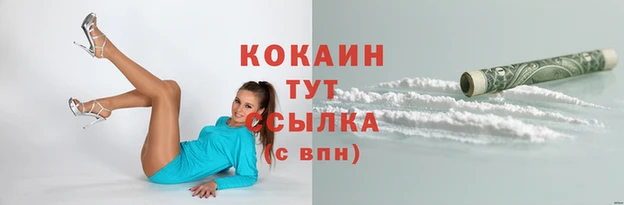 мдпв Иннополис