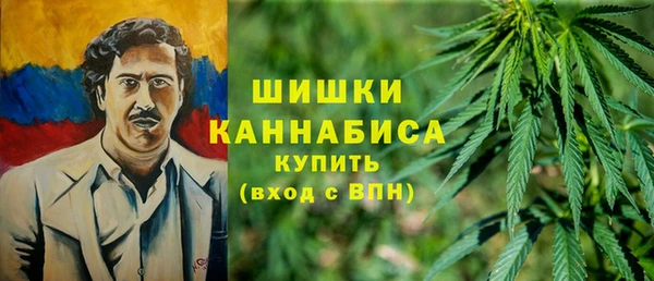 трава Инсар