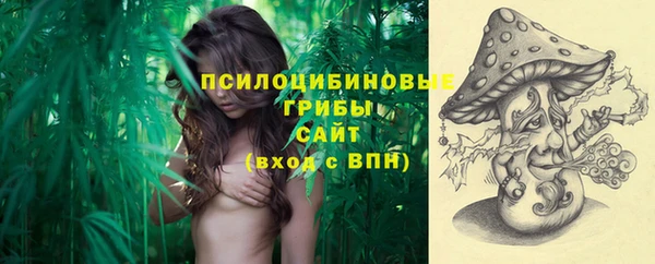 трава Инсар