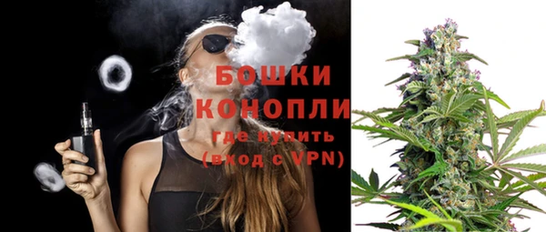трава Инсар
