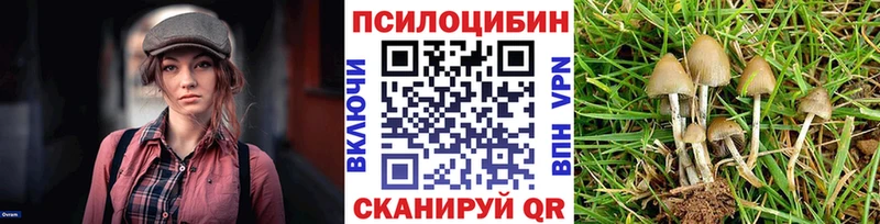 Псилоцибиновые грибы мухоморы  купить  сайты  Безенчук 